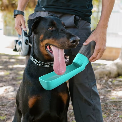2025-05-0810_34_35-Chien_ZopiDropshipping_Shopify