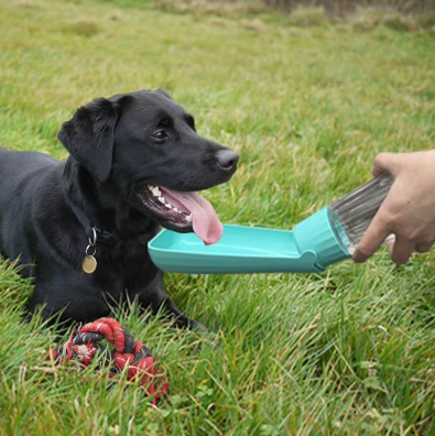 2025-05-0810_34_50-Chien_ZopiDropshipping_Shopify