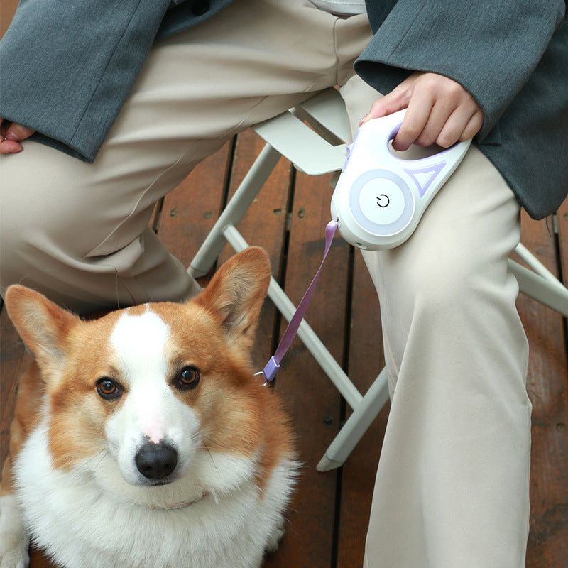 Laisse Rétractable pour Chien – Liberté de mouvement, contrôle total